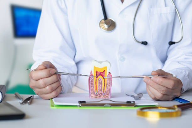 Best Emergency Dental Care for Abscessed Tooth in Sharpsburg, PA